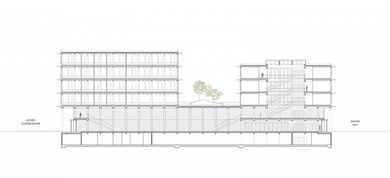 B2A 039 - UNIL b&acirc;timent pour les Sciences Humaines coupe-longitudinale