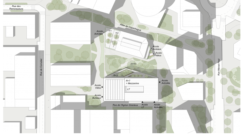 B2A 080 - &Icirc;lot 8C plan-masse