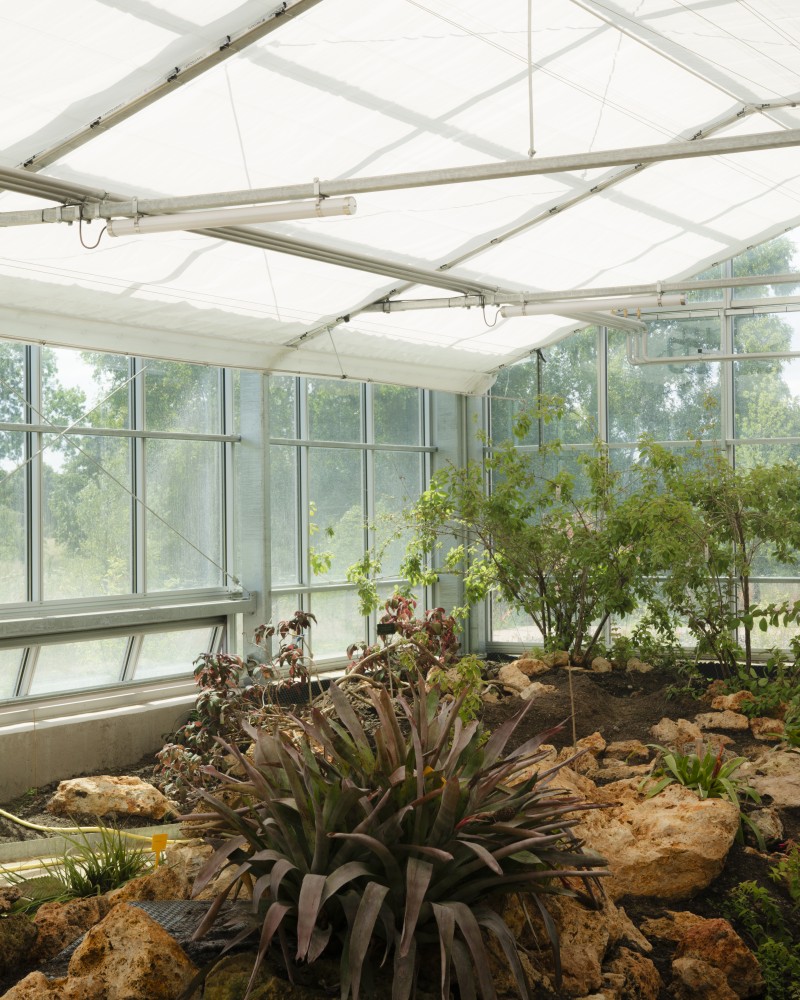 B2A 069 - Serre des Fuchsias chvl-perspective-interieur